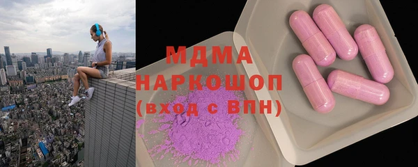 индика Бородино