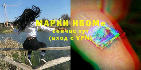 шишки Верея